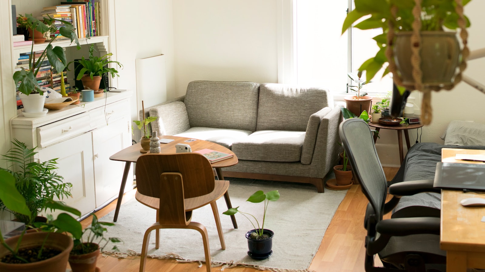 A bright small room with soft white walls, pale wood floors, sheer curtains, and gentle natural light